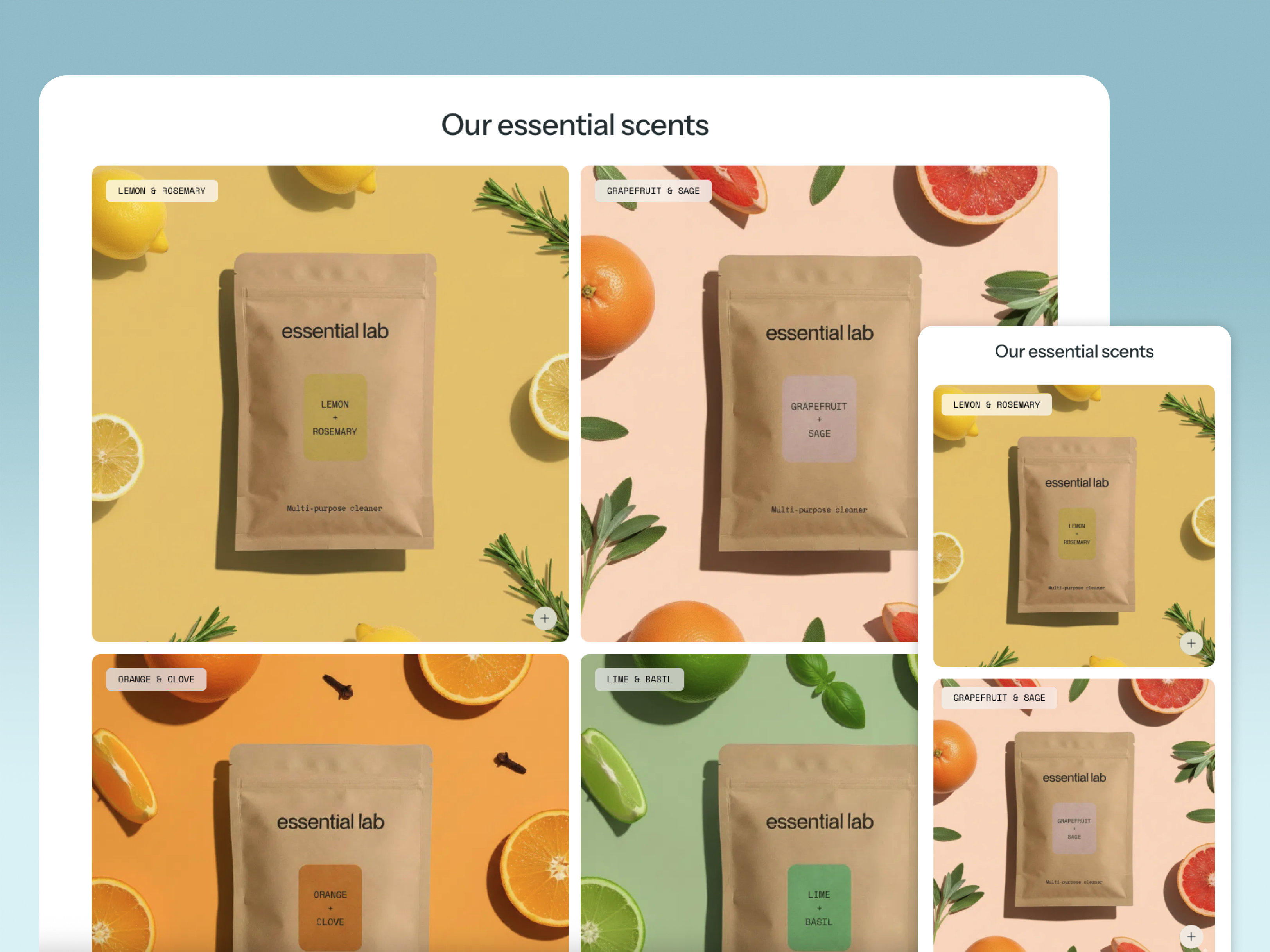 Essential Lab: Home Care Shopify Template image 4