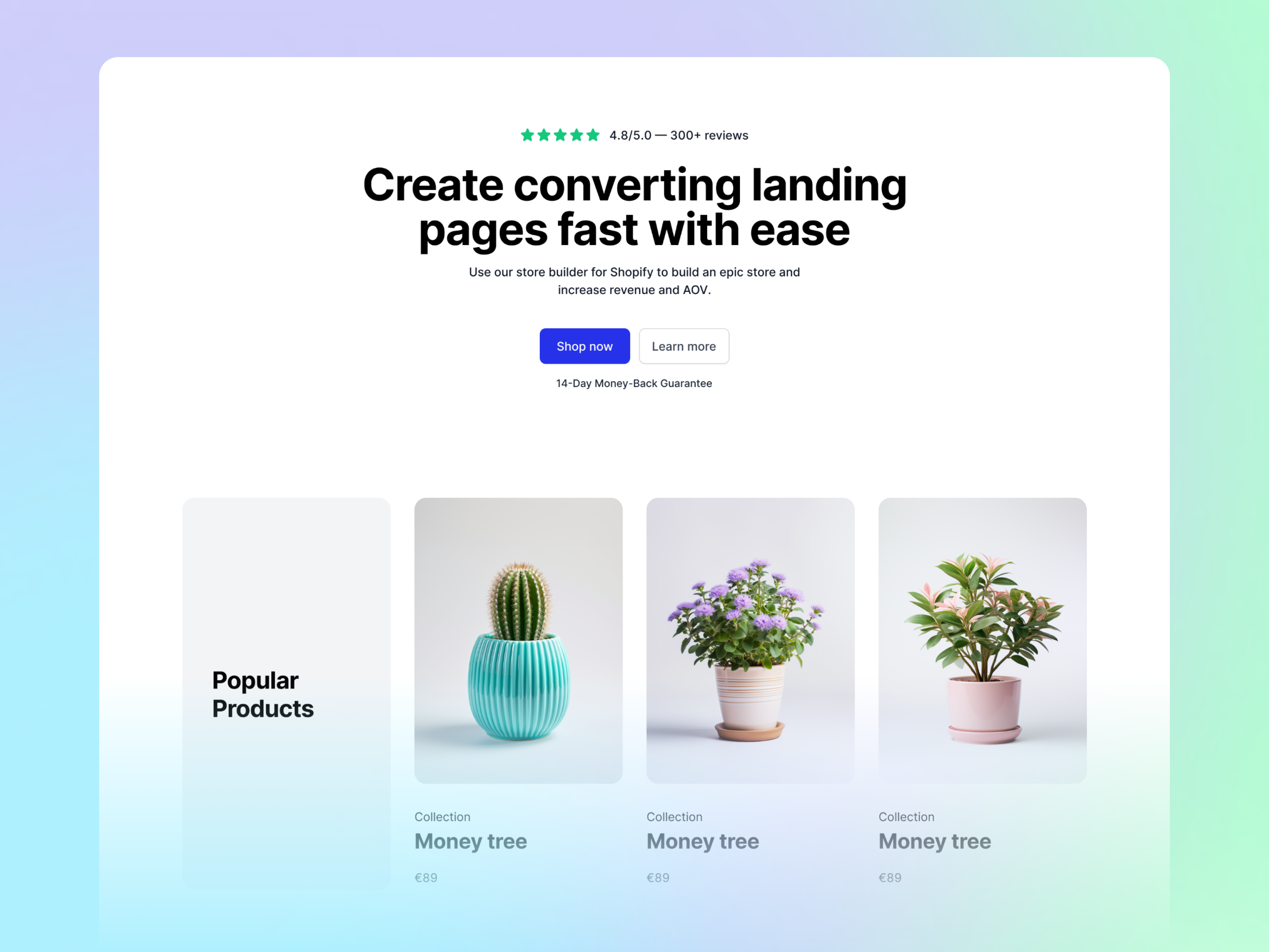 Shopify Starter Template image